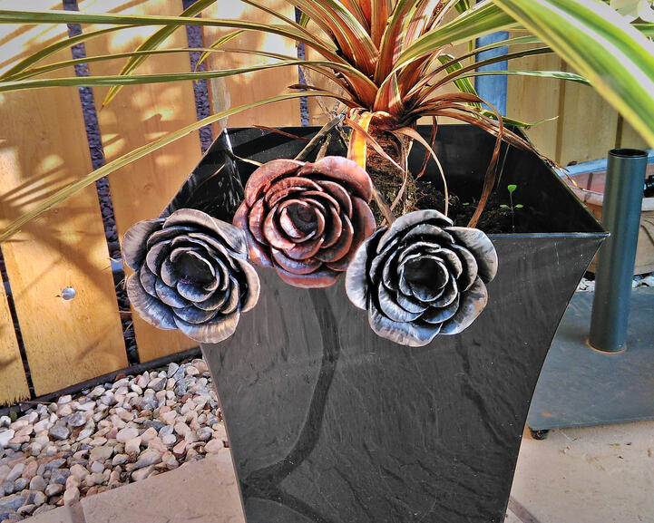 Roses (small)
