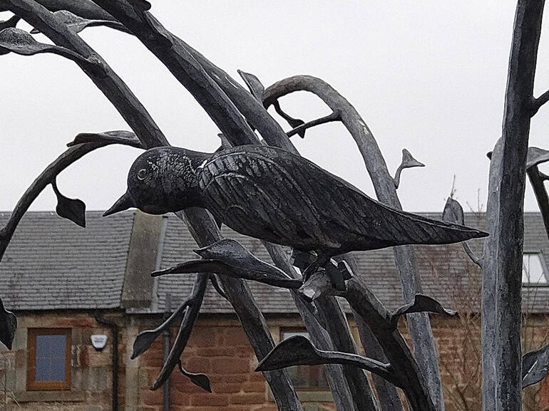 Bird in tree (medium)