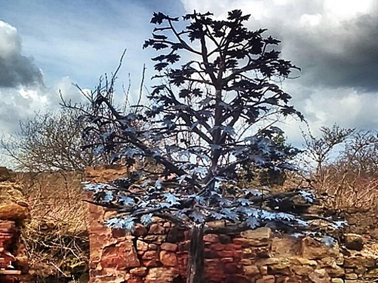 Tree (large)