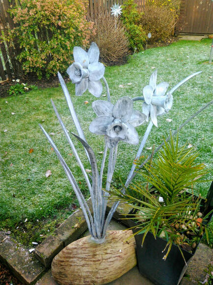 Daffodils (small)
